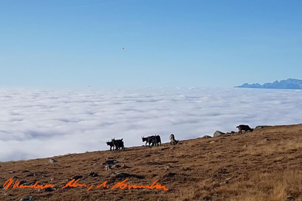 וילאנדרו Dolomiten View - South Tyrol מראה חיצוני תמונה